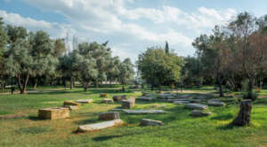 Plato’s Academy and Aristotle High School: The Philosophy of Plato and Aristotle